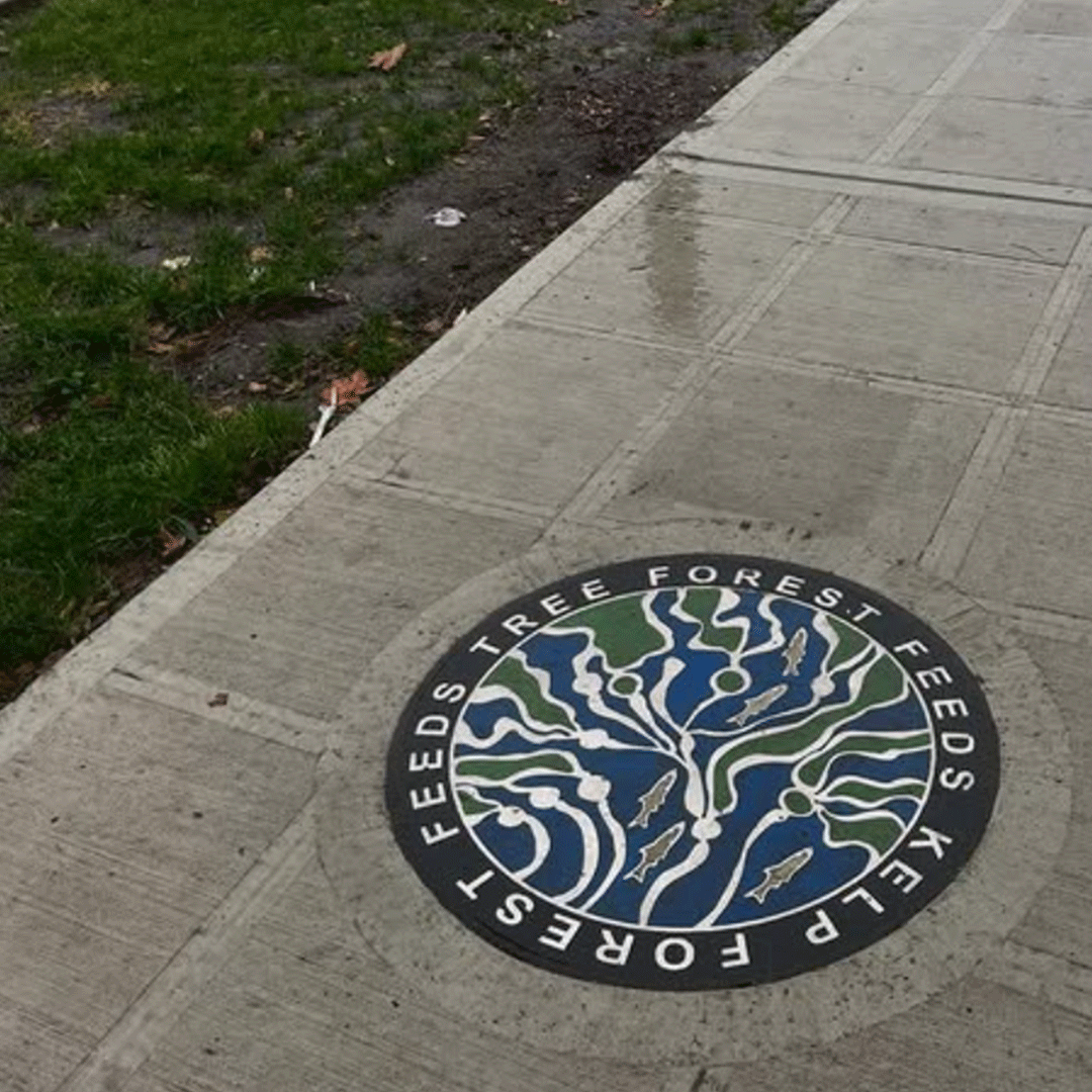 Utility cover hatch installed in a pedestrian walkway